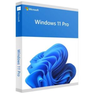 WINDOWS 11 PRO 64BITS OEM SPA DVD